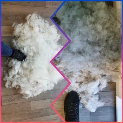 Getting Purrsonal – Shedloads Of Fur